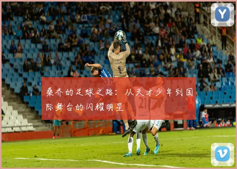 桑乔的足球之路：从天才少年到国际舞台的闪耀明星
