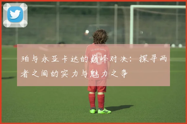 珀与永亚卡达的巅峰对决：探寻两者之间的实力与魅力之争