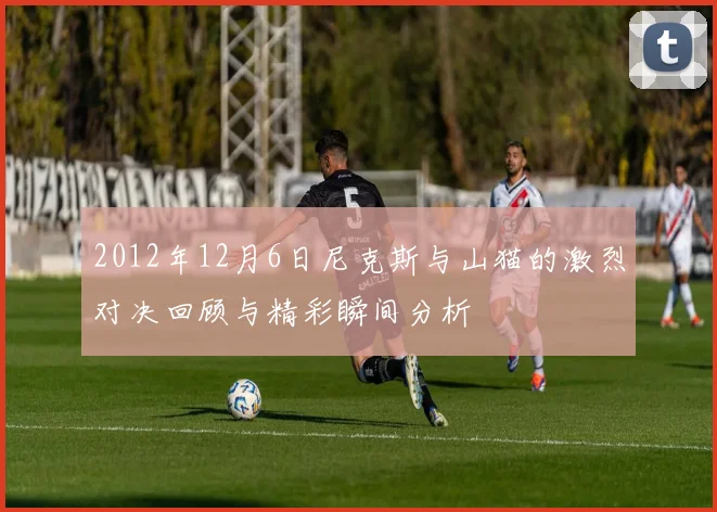 2012年12月6日尼克斯与山猫的激烈对决回顾与精彩瞬间分析