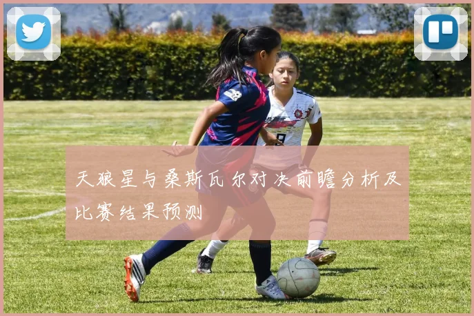 天狼星与桑斯瓦尔对决前瞻分析及比赛结果预测