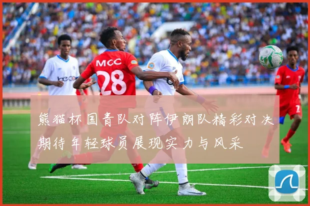 马刺与猛龙精彩对决视频录像回顾全场精彩瞬间与战术分析