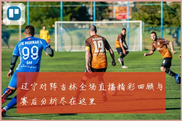 辽宁对阵吉林全场直播精彩回顾与赛后分析尽在这里
