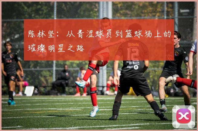 陈林坚：从青涩球员到篮球场上的璀璨明星之路